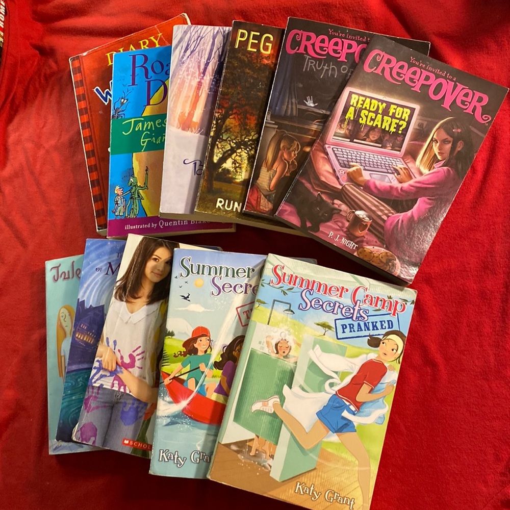 Chapter book lot
